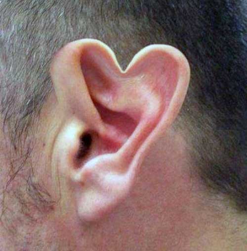 Heart-shaped ear